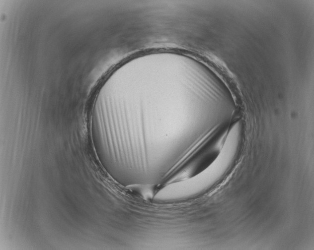 X0000066021167200603241528