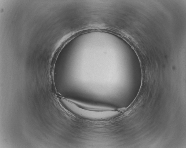 X0000066021168200603241528