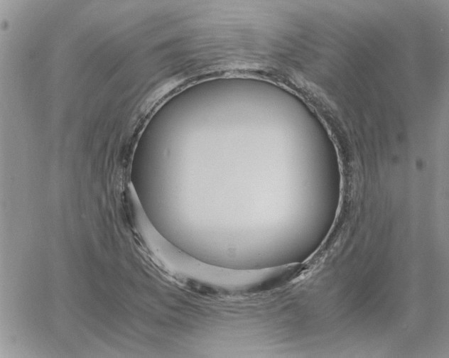 X0000066021169200603241528