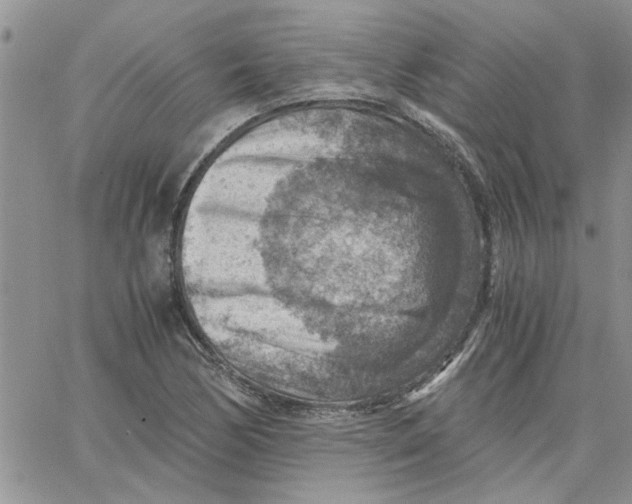 X0000066021170200603241528