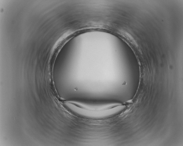 X0000066021172200603241528