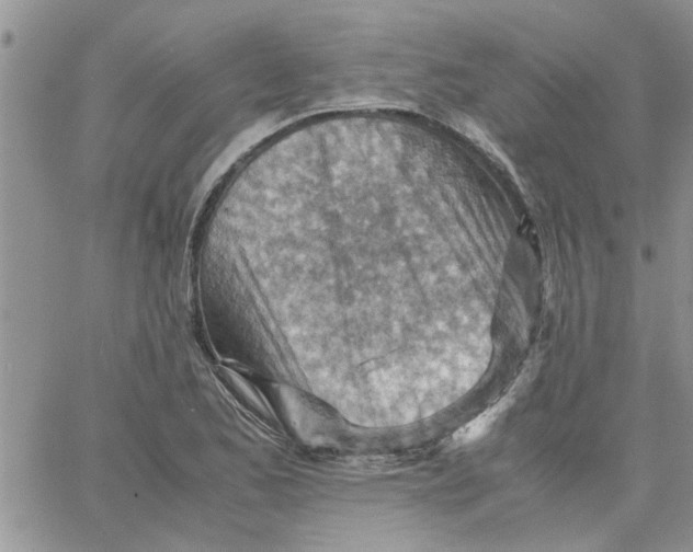 X0000066021173200603241528