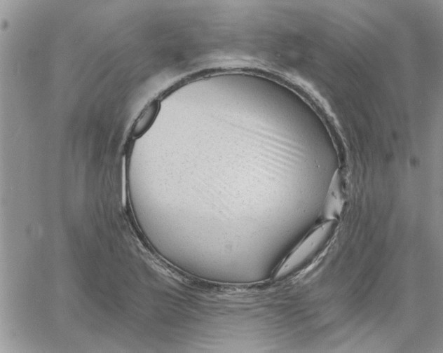 X0000066021175200603241528