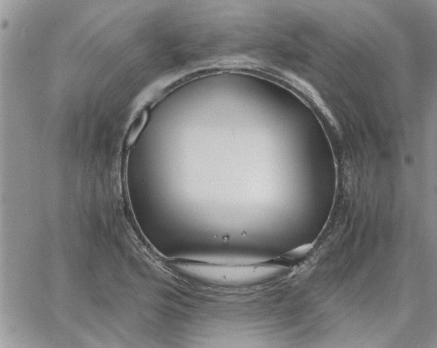 X0000066021176200603241527