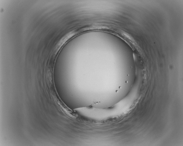 X0000066021177200603241527