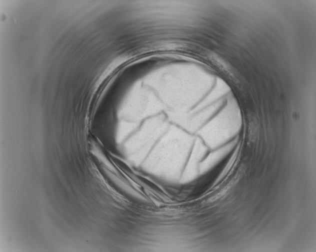 X0000066021178200603241527