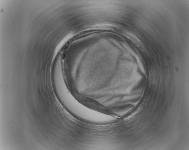 X0000066021180200603241527