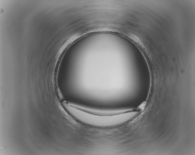 X0000066021181200603241527