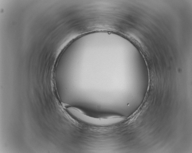 X0000066021182200603241527