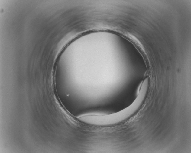 X0000066021183200603241527