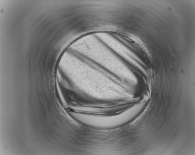 X0000066021184200603241527