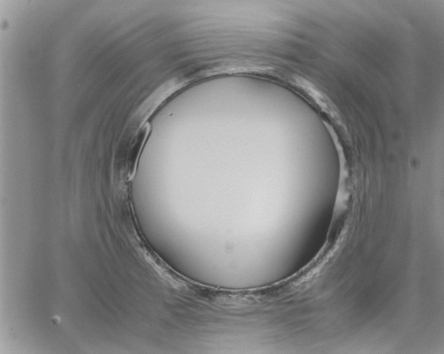 X0000066021185200603241527