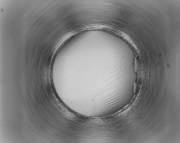 X0000066021186200603241527