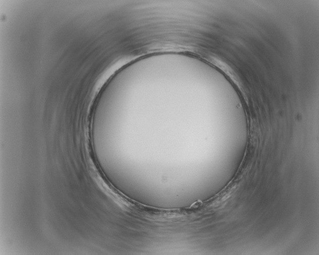 X0000066021187200603241527