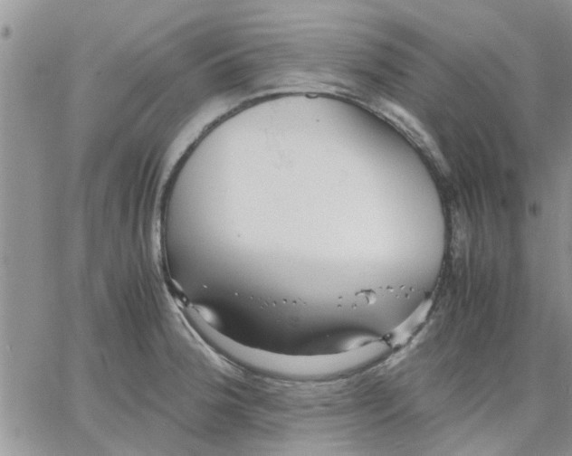 X0000066021188200603241527