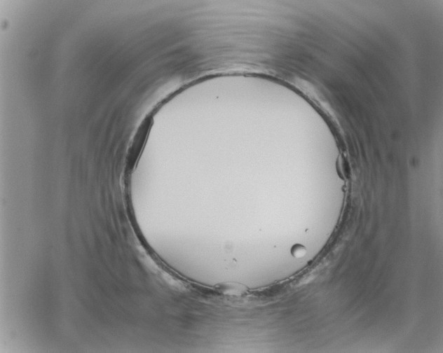 X0000066021189200603241527