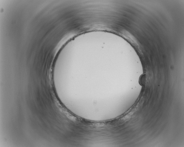 X0000066021190200603241527