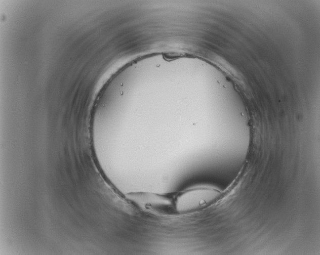 X0000066021192200603241527