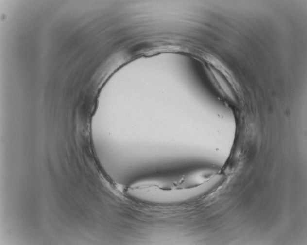 X0000066021193200603241527