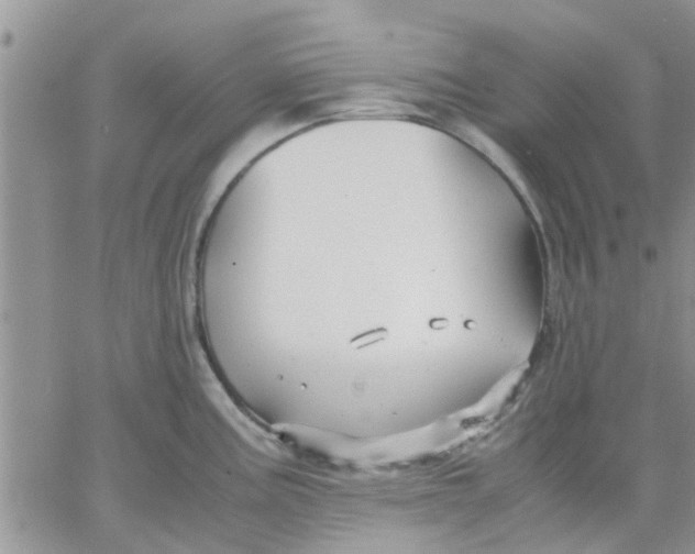 X0000066021195200603241527