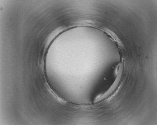 X0000066021196200603241527