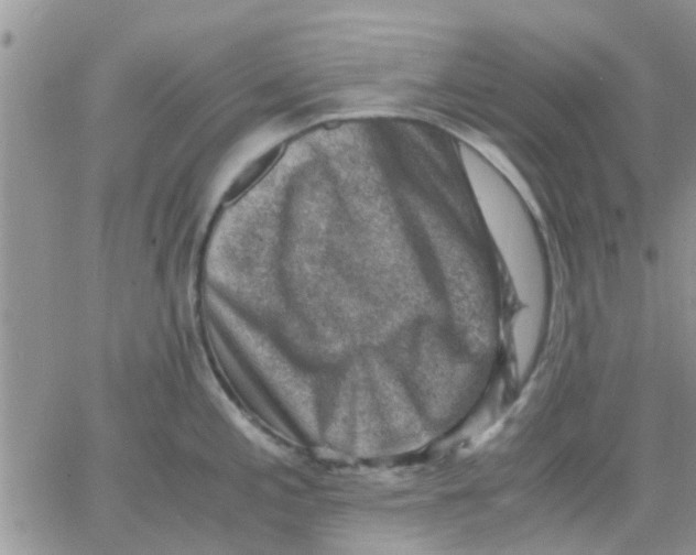 X0000066021197200603241527