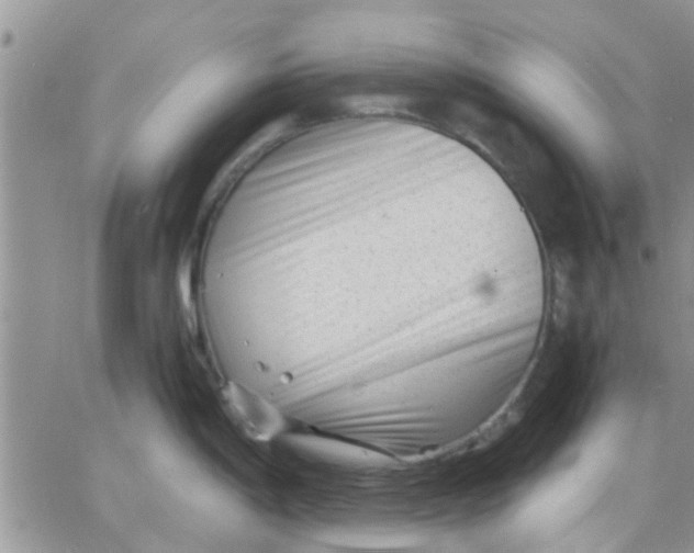 X0000066021198200603241527