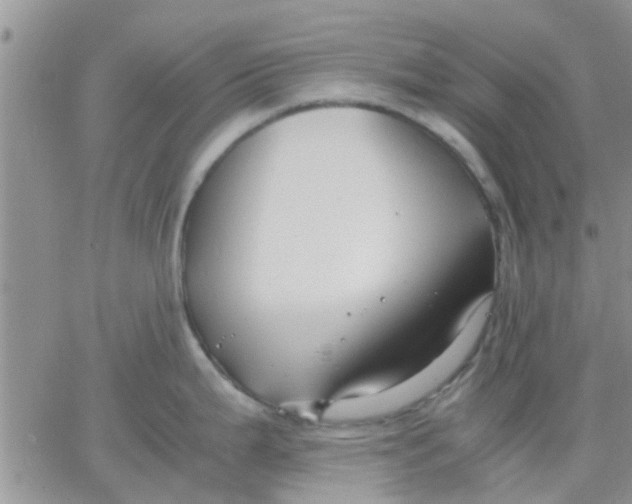 X0000066021199200603241527