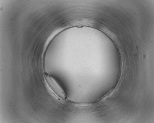 X0000066021200200603241527