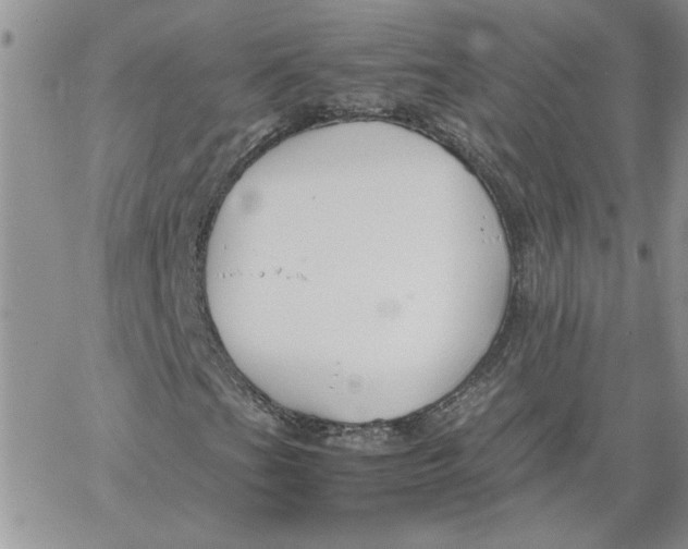 X0000066021201200603241526