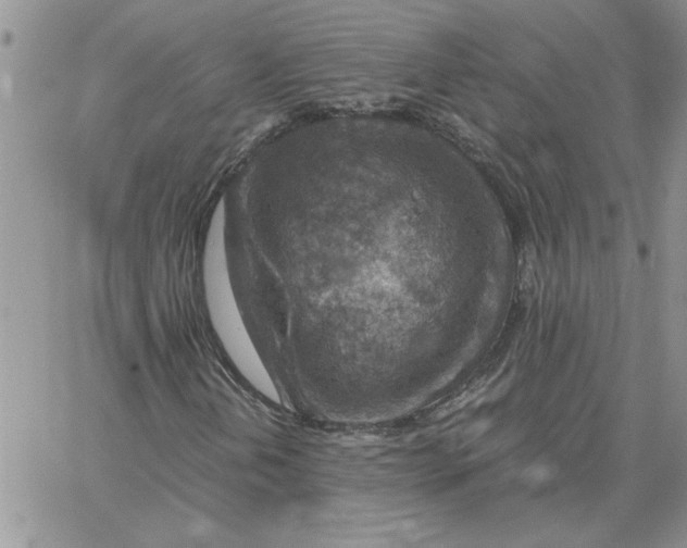 X0000066021202200603241526