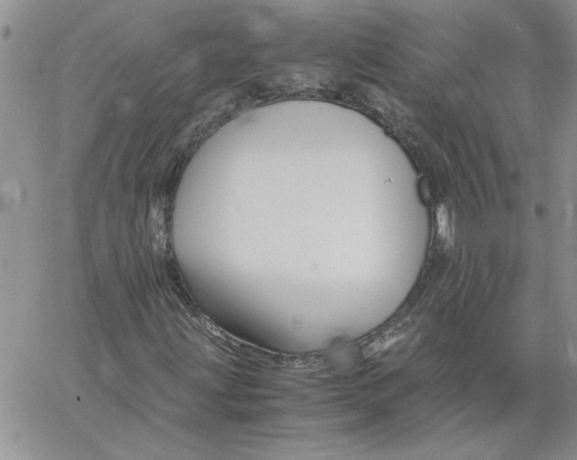 X0000066021203200603241526