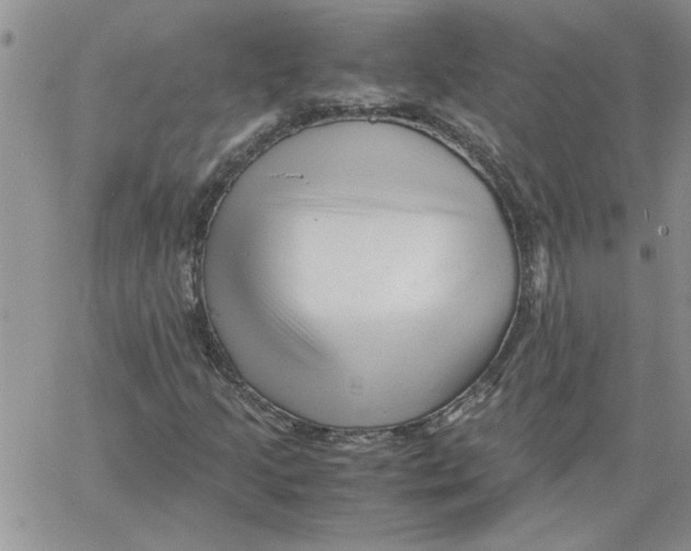 X0000066021205200603241526