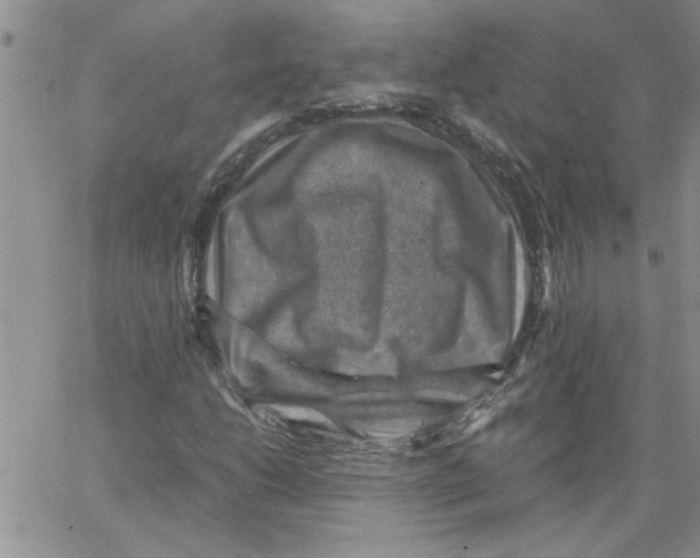 X0000066021206200603241526