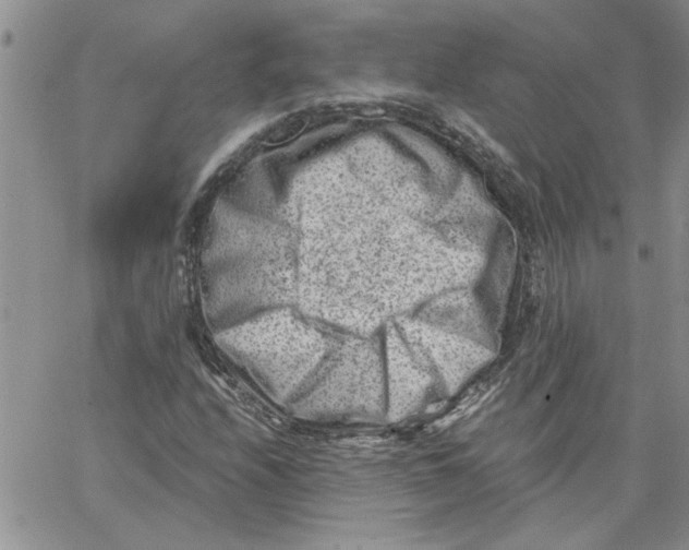 X0000066021208200603241526