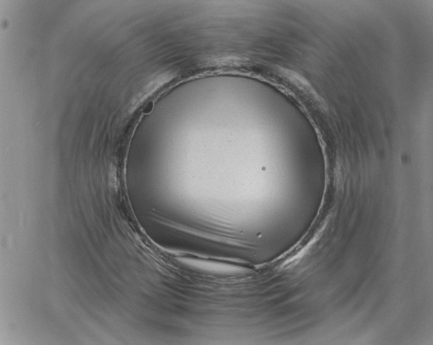 X0000066021209200603241526