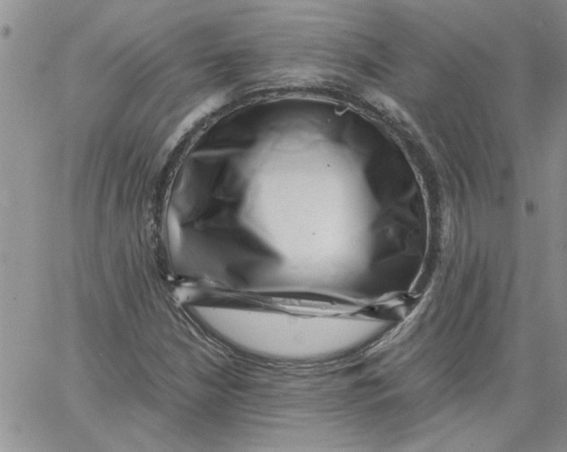 X0000066021210200603241526