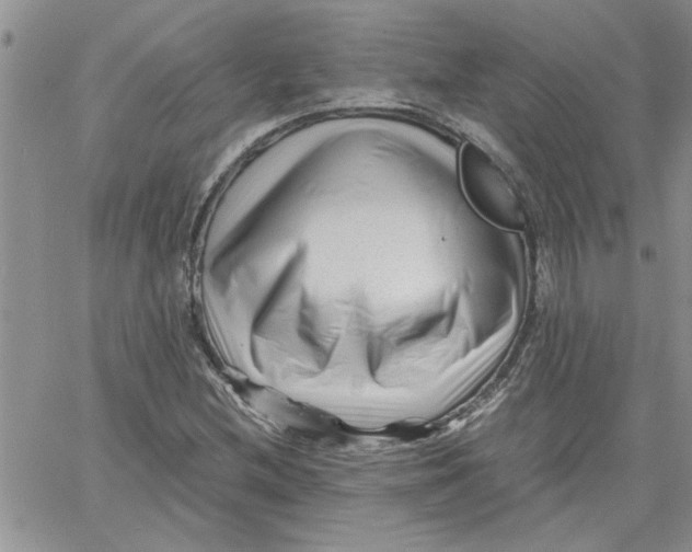 X0000066021212200603241527