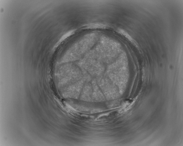 X0000066021213200603241527