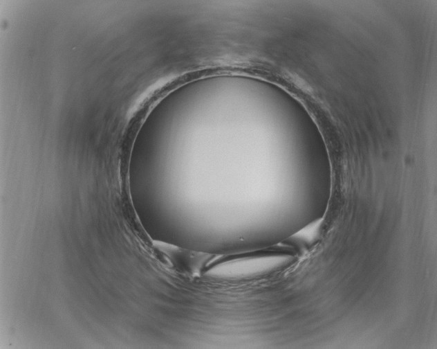 X0000066021214200603241527