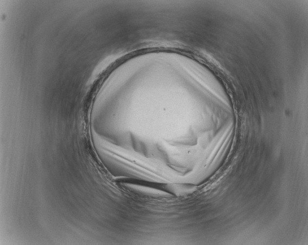 X0000066021215200603241527