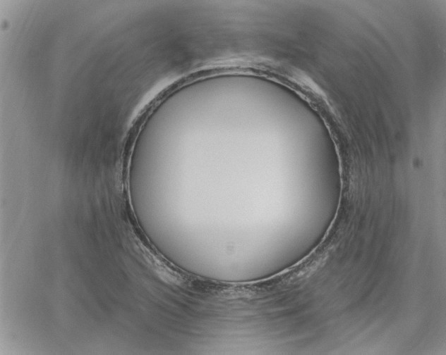 X0000066021216200603241527