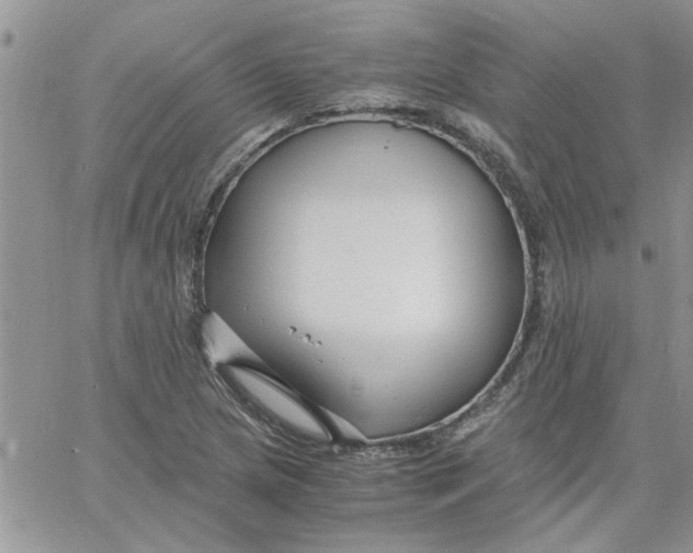 X0000066021217200603241527