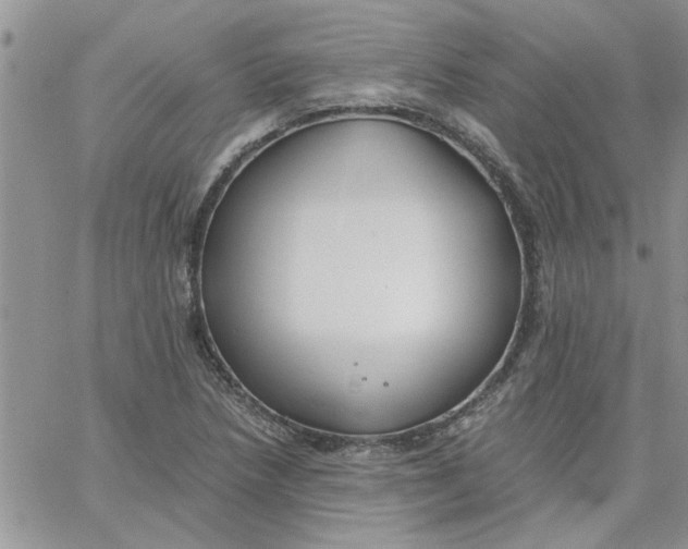 X0000066021218200603241527