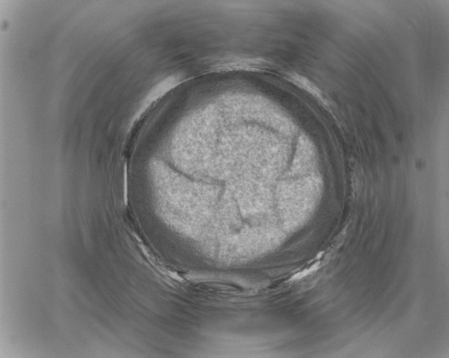 X0000066021219200603241527