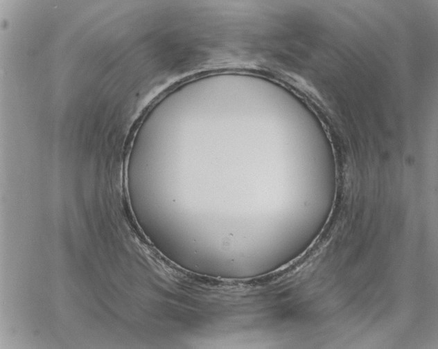 X0000066021220200603241527