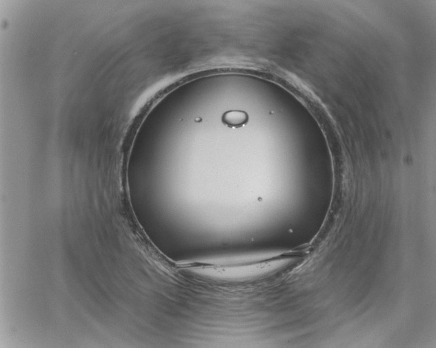 X0000066021222200603241527