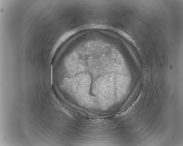 X0000066021223200603241527