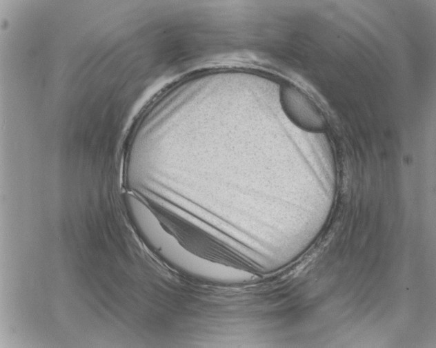 X0000066021224200603241527