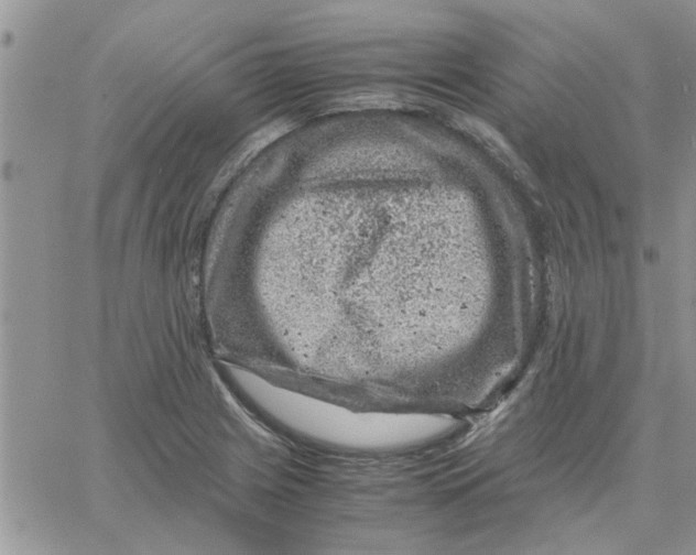 X0000066021225200603241527